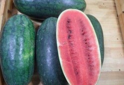 免费黑料吃瓜,免费黑料背后的真相与吃瓜指南