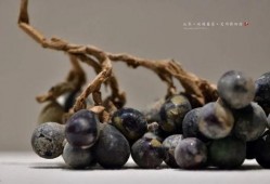 琉璃在线观看葡萄,葡萄的奇幻之旅