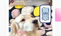 巴哥爆料典藏视频下载,揭秘热门事件幕后真相